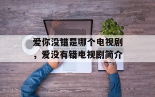 爱你没错是哪个电视剧，爱没有错电视剧简介