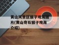 黄山风景区猴子观海图片(黄山奇石猴子观海介绍)