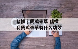 猪横脷煲鸡骨草 猪横利煲鸡骨草有什么功效