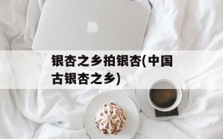 银杏之乡拍银杏(中国古银杏之乡)