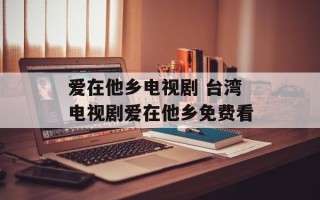 爱在他乡电视剧 台湾电视剧爱在他乡免费看
