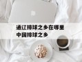 通辽排球之乡在哪里 中国排球之乡