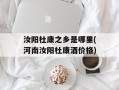 汝阳杜康之乡是哪里(河南汝阳杜康酒价格)