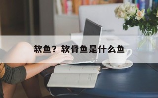 软鱼？软骨鱼是什么鱼