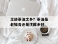 走进茶油之乡？茶油是老知青还是沈郎乡好