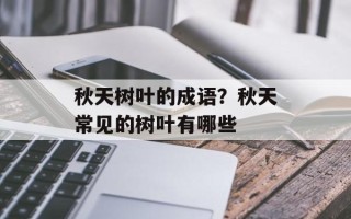 秋天树叶的成语？秋天常见的树叶有哪些