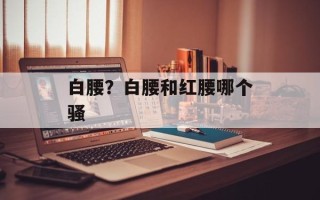 白腰？白腰和红腰哪个骚
