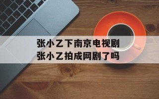 张小乙下南京电视剧 张小乙拍成网剧了吗