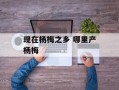 现在杨梅之乡 哪里产杨梅