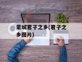 蒙城君子之乡(君子之乡图片)