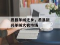 蠡县羊绒之乡，蠡县新兴羊绒大衣市场
