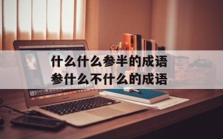什么什么参半的成语 参什么不什么的成语