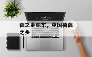 藕之乡肥东，中国荷藕之乡