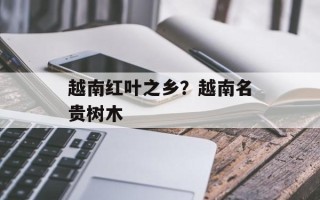 越南红叶之乡？越南名贵树木