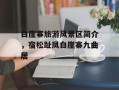 白崖寨旅游风景区简介，宿松趾凤白崖寨九曲居