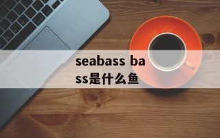seabass bass是什么鱼