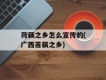 荷藕之乡怎么宣传的(广西莲藕之乡)