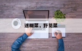 迷糊菜，野苋菜