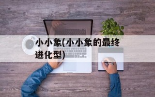 小小象(小小象的最终进化型)