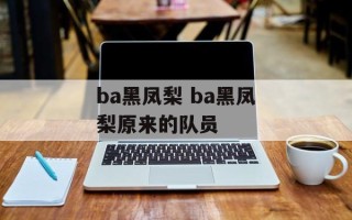ba黑凤梨 ba黑凤梨原来的队员