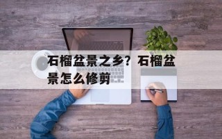 石榴盆景之乡？石榴盆景怎么修剪