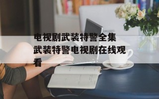 电视剧武装特警全集 武装特警电视剧在线观看
