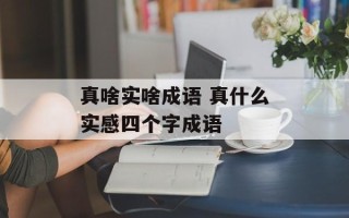真啥实啥成语 真什么实感四个字成语
