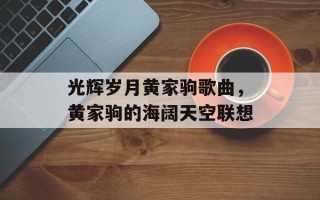 光辉岁月黄家驹歌曲，黄家驹的海阔天空联想