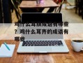 鸡什么耳旗成语有哪些？鸡什么耳齐的成语有哪些