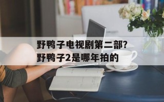 野鸭子电视剧第二部？野鸭子2是哪年拍的