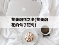 赞美烟花之乡(赞美烟花的句子短句)