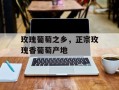 玫瑰葡萄之乡，正宗玫瑰香葡萄产地