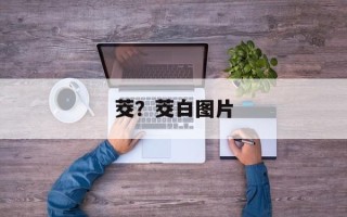 茭？茭白图片