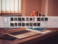 重庆鳝鱼之乡？重庆黄鳝养殖基地在哪里