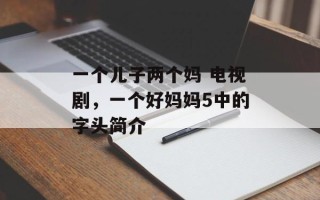 一个儿子两个妈 电视剧，一个好妈妈5中的字头简介