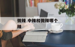 微辣 中辣和微辣哪个辣