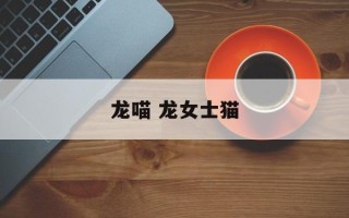 龙喵 龙女士猫