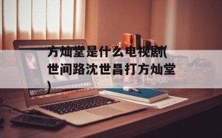 方灿堂是什么电视剧(世间路沈世昌打方灿堂)