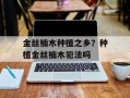 金丝楠木种植之乡？种植金丝楠木犯法吗