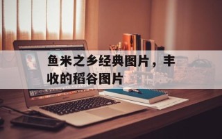 鱼米之乡经典图片，丰收的稻谷图片