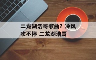 二龙湖浩哥歌曲？冷风吹不停 二龙湖浩哥
