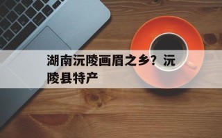 湖南沅陵画眉之乡？沅陵县特产