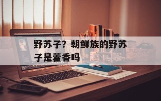 野苏子？朝鲜族的野苏子是藿香吗