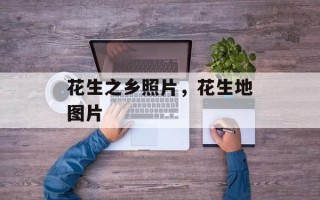 花生之乡照片，花生地图片