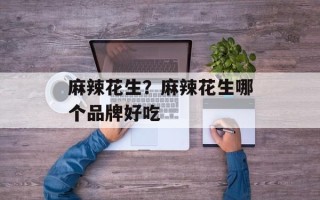麻辣花生？麻辣花生哪个品牌好吃