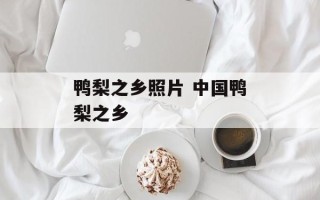 鸭梨之乡照片 中国鸭梨之乡
