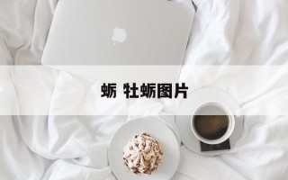 蛎 牡蛎图片