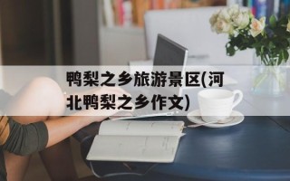 鸭梨之乡旅游景区(河北鸭梨之乡作文)
