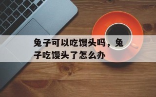 兔子可以吃馒头吗，兔子吃馒头了怎么办