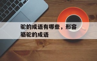 驼的成语有哪些，形容骆驼的成语